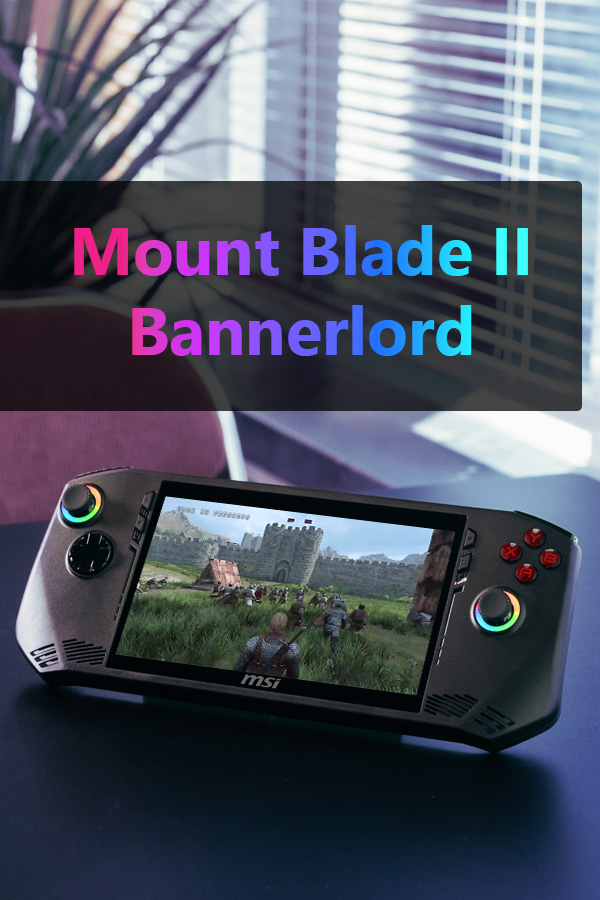 Mount & Blade II : Bannerlord