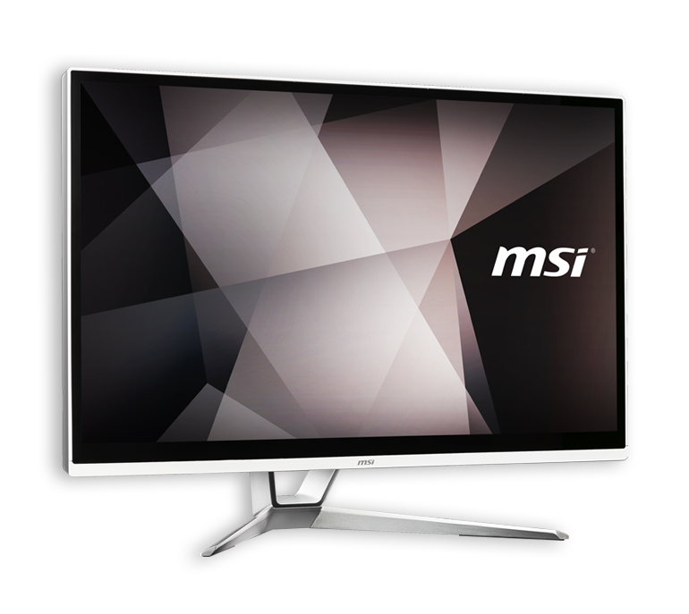 MSI MNT