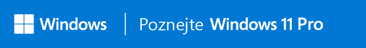 Windows 11 Pro