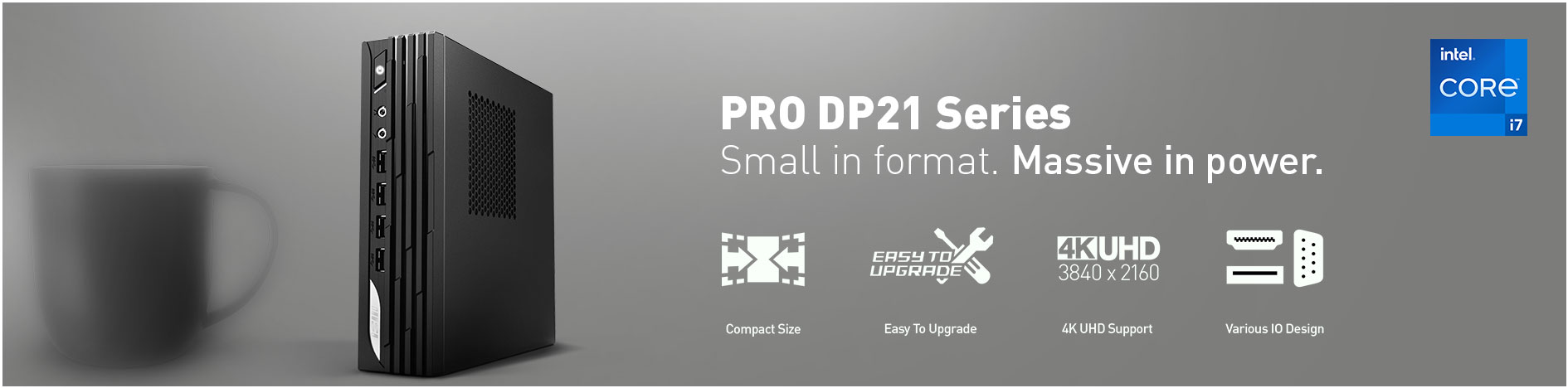 PRO DP21 SERIES