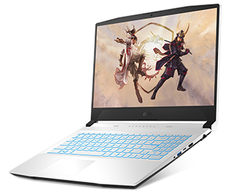 MSI - Vector GP66