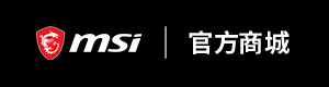 MSI Store