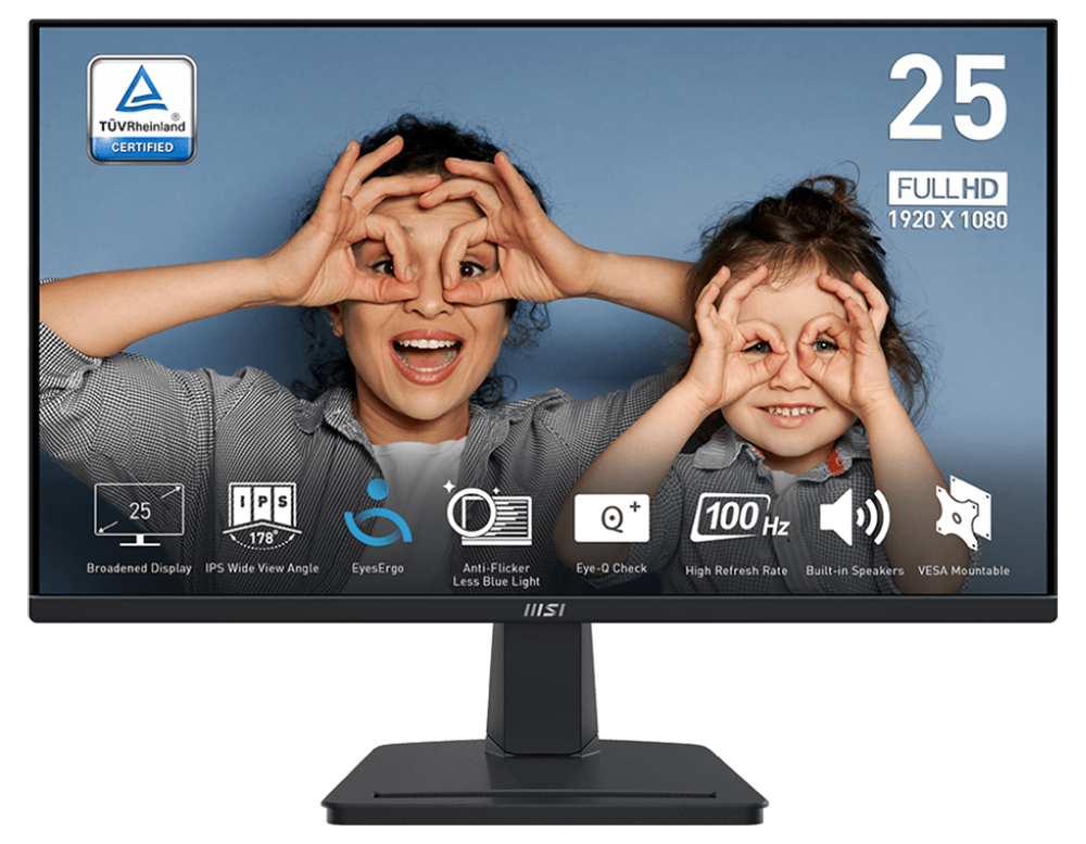 msi business & productivity series monitor PRO MP251