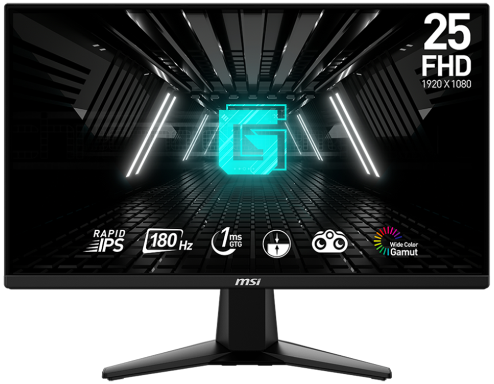 msi gaming moitor G255F