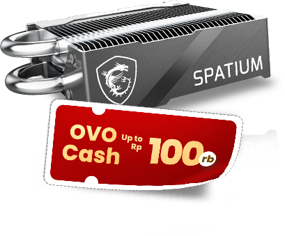 MSI Motherboard - ssd