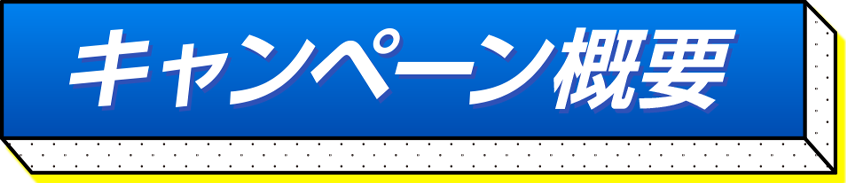 キャンペーン概要