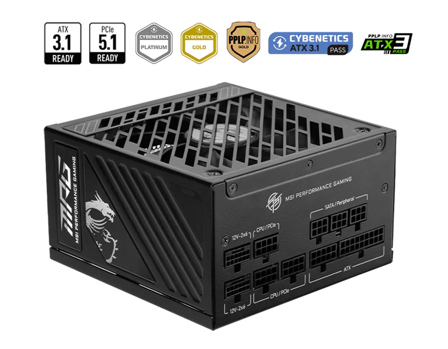 MPG A1250GS PCIE5 II power supply