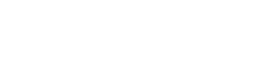 ig icon