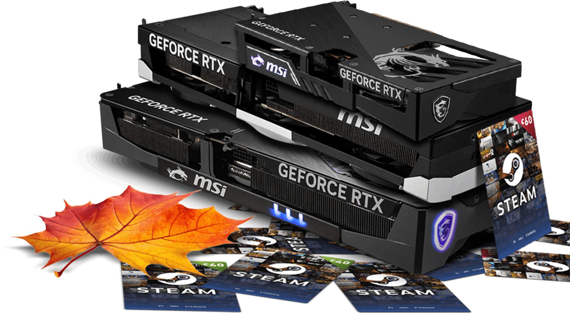 Karty graficzne MSI GeForce RTX™ z serii 50 i kody do Portfela Steam