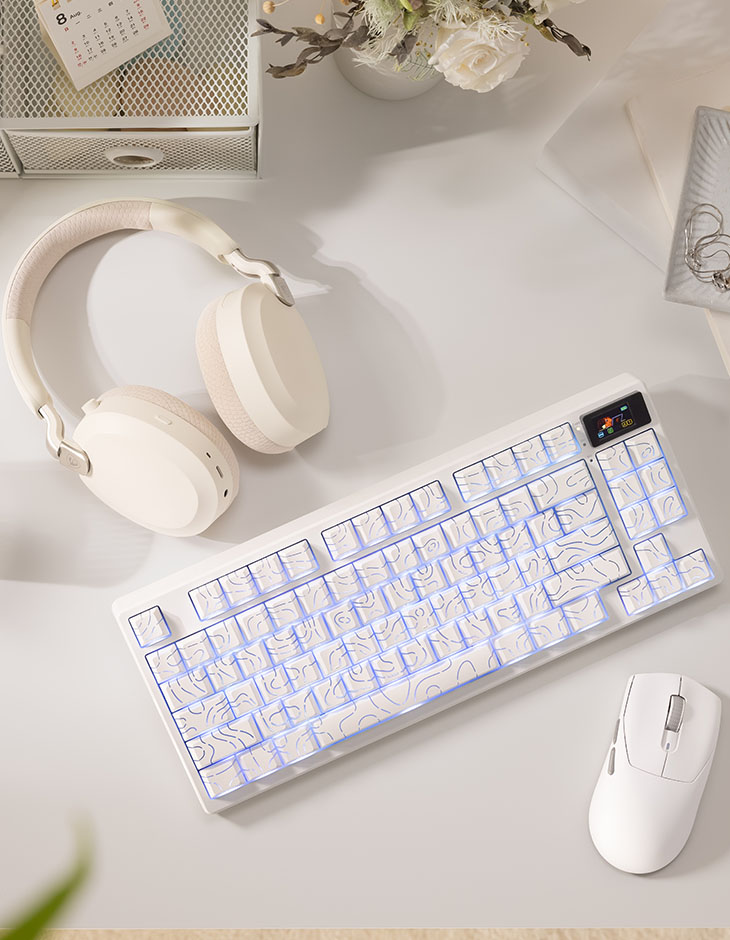 WHITE SPACE SETUP