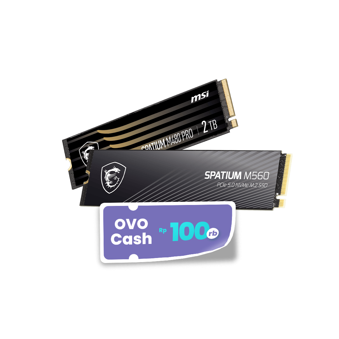 MSI SSD