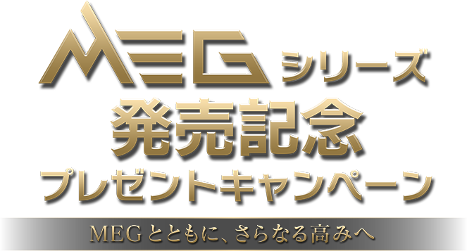 MSI MEG 二 、 高