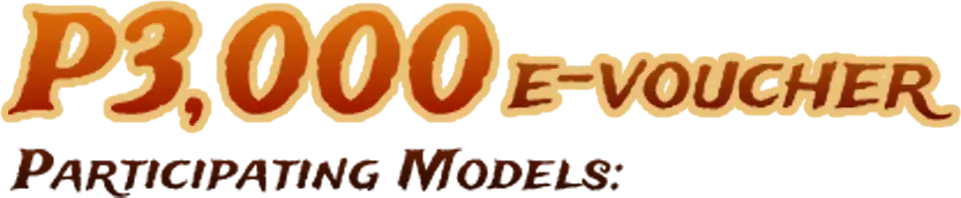 P3000 SM E-Voucher