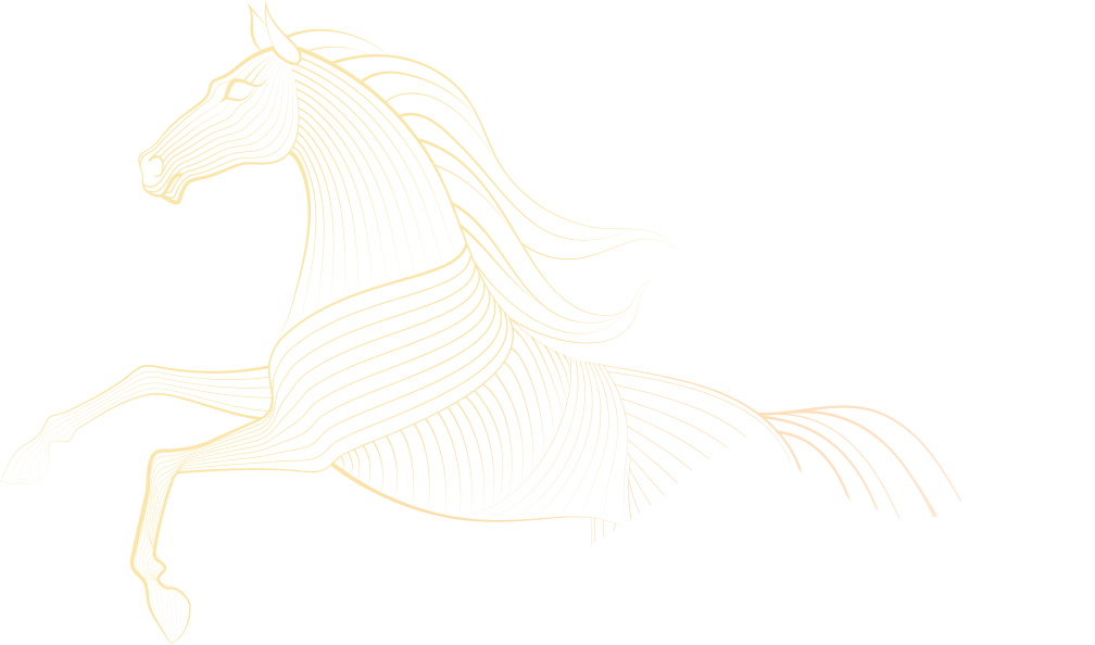 馬力全開 驅動效能全面躍升