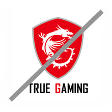 msi logo error example - Do not combine the logo with picture or slogan