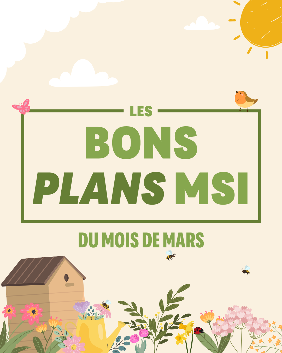 Bons plans MSI du mois de mars