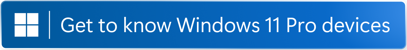 Windows 11