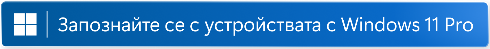 Windows 11