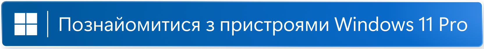 Windows 11