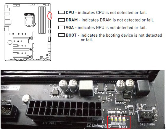 Msi Korea