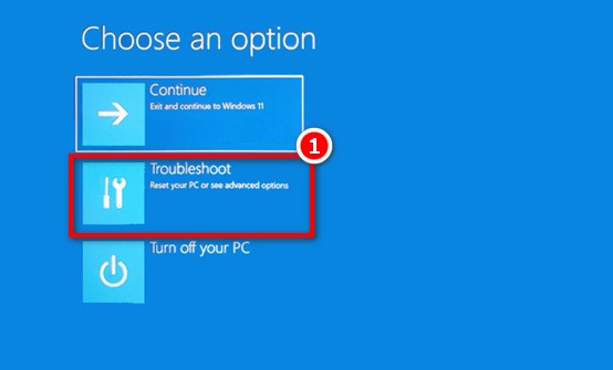 Entering safe mode of the system