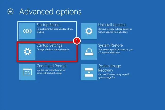 Entering safe mode of the system