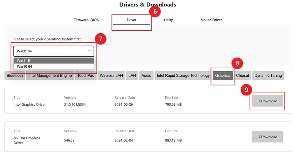 NVIDIA Graphics Card