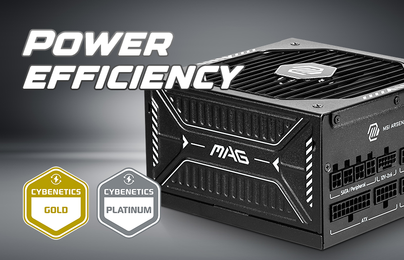 MAG A850GL PCIE5 | Power Supply | Overflow With Power