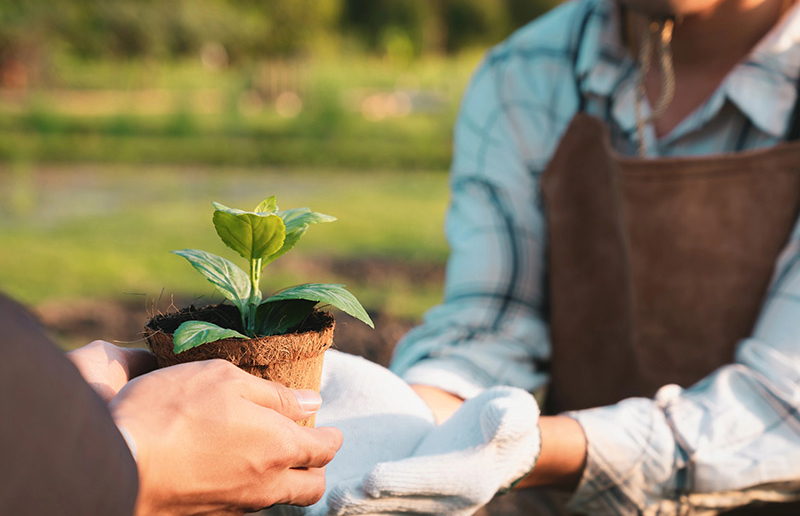 MSI 的公益行動與 ESG 實踐：科技品牌如何回饋社會？