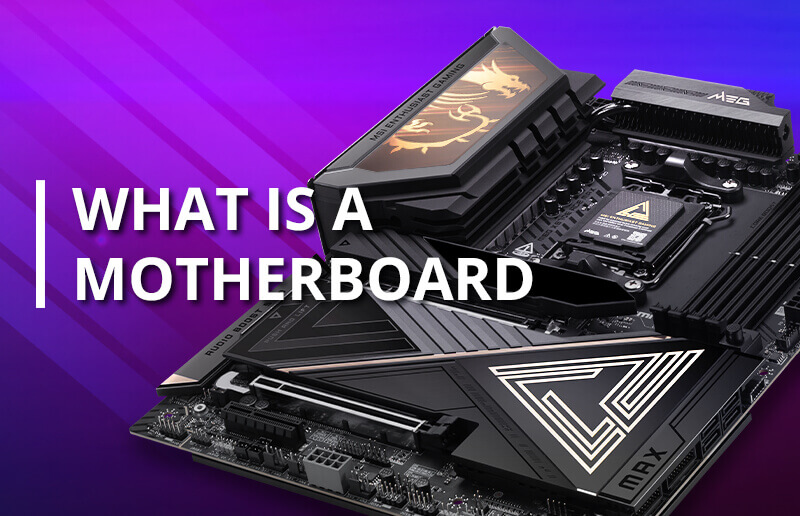 What is a Motherboard?