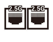dual 2.5 LAN icon