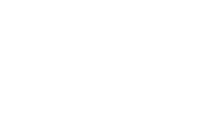 dual 2.5 LAN icon