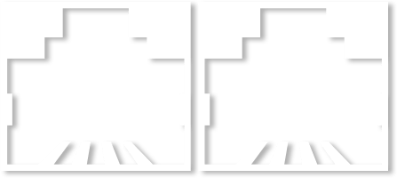 dual lan icon
