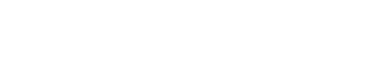 PRO MAX 241PHW E14 - Modernity, Acceleration, eXperience