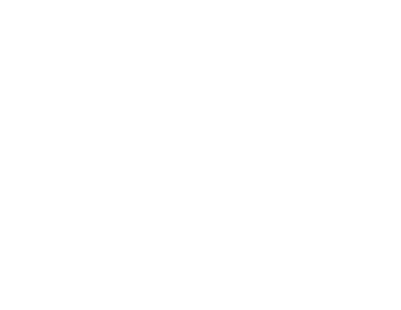 icon eyesergo