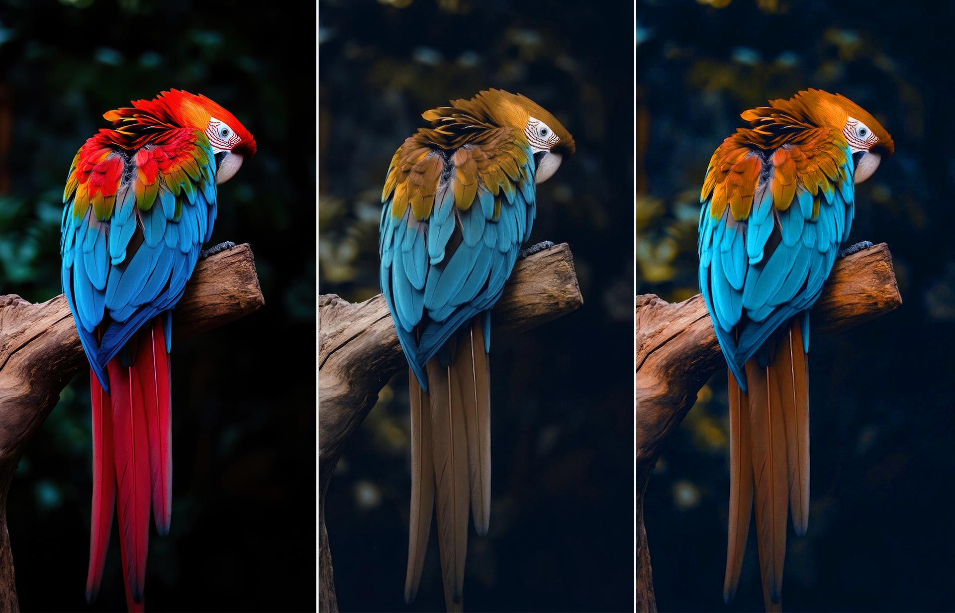 Color vision deficiency mode comparison visual