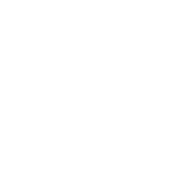 Brightness icon