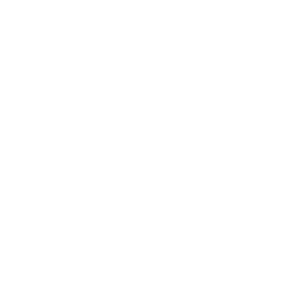 Volume icon