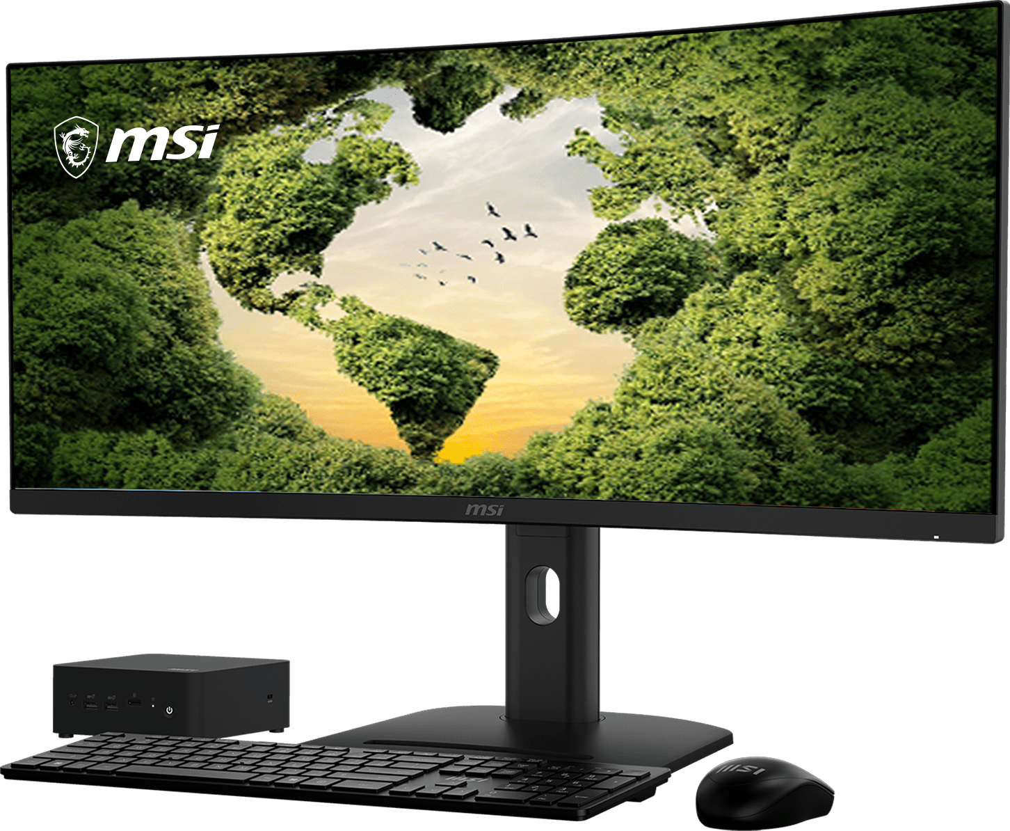 MSI Monitor