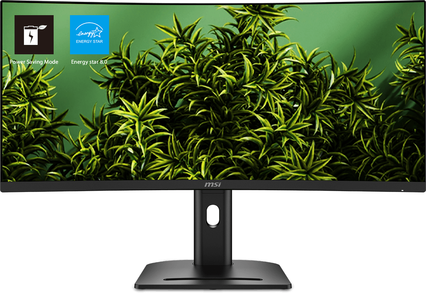 MSI Monitor