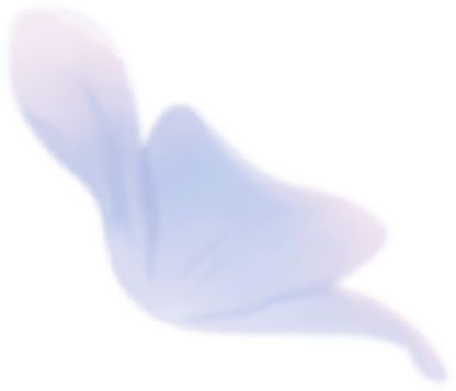 Frieren Edition Flower Decorations