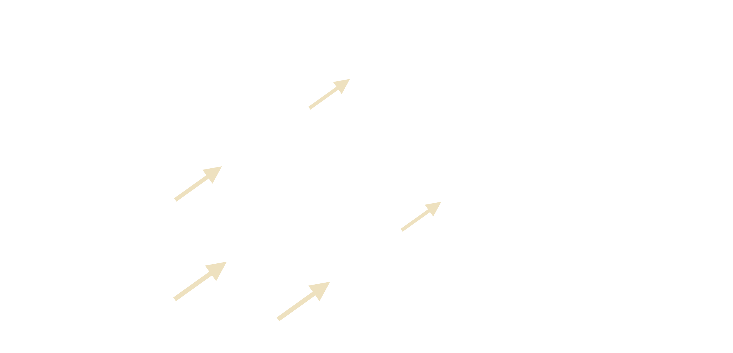 arrow icon