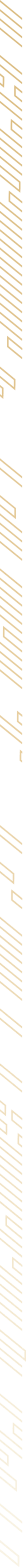 lc-body