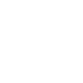 FORGE GM340 WIRELESS