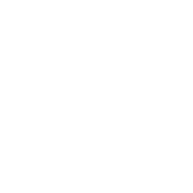 FORGE GM340 WIRELESS