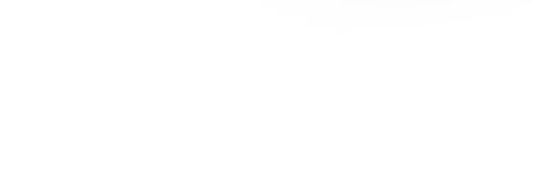 Wireless, Bluetooth, USB connectivity icons