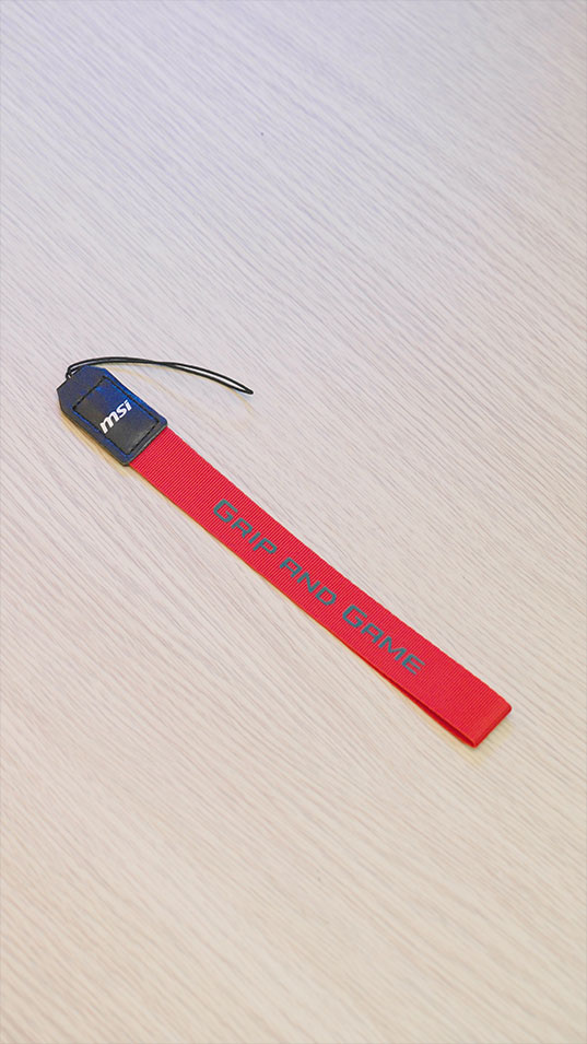 MSI Claw Travel Case II - Scenario photo