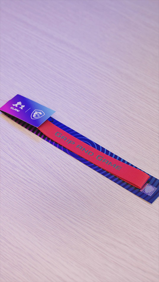 MSI Claw Travel Case II - Scenario photo