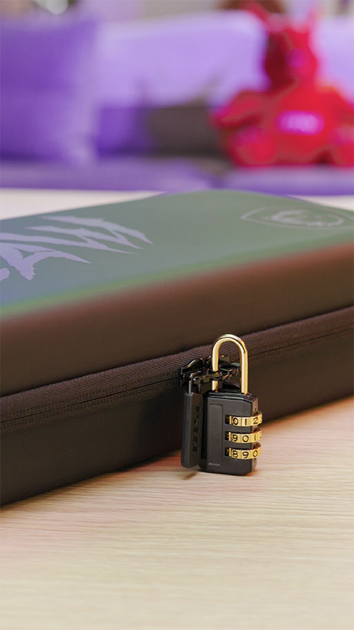 MSI Claw Travel Case II - Scenario photo