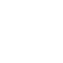 icon - 6GHz